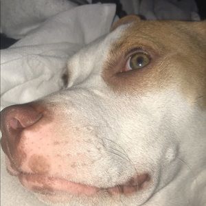 Meet your Posher, Nate